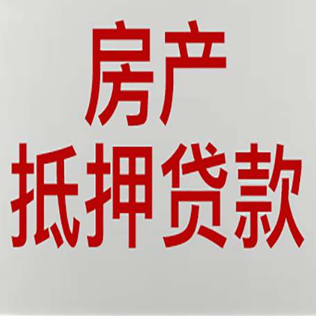 和平贷款公司新渝启服推荐选择